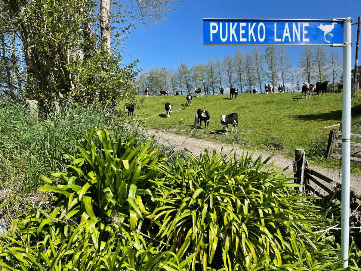 Pukeko Lane Apartment ตาอูรังกา ภายนอก รูปภาพ